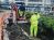 central middlesex hospital tarmac works 4